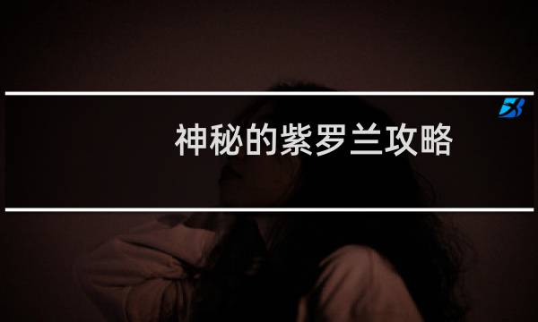 神秘的紫罗兰攻略