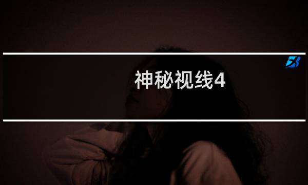 神秘视线4 攻略