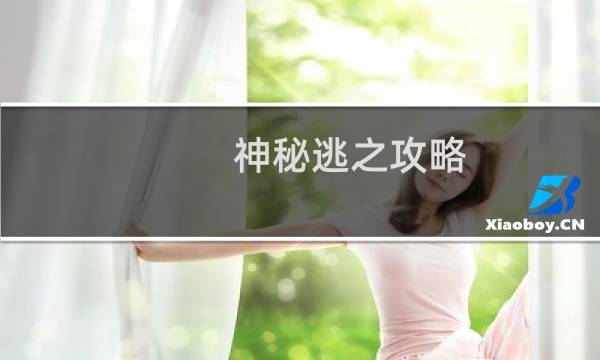 神秘逃之攻略