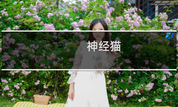 神经猫 攻略