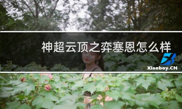 神超云顶之弈塞恩怎么样