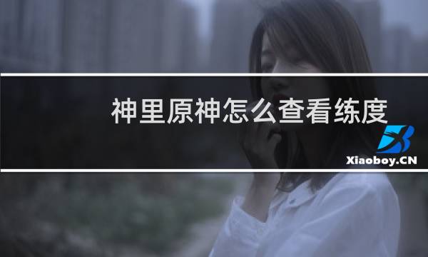 神里原神怎么查看练度