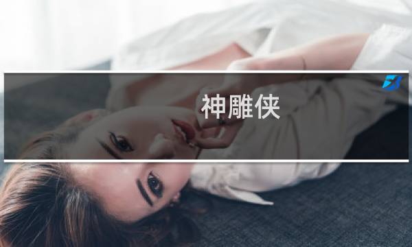 神雕侠 攻略