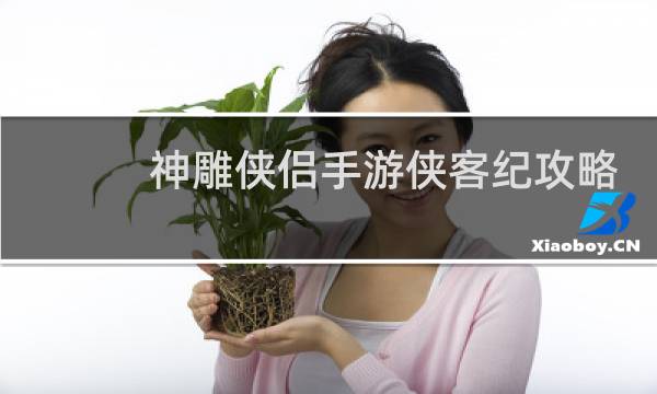 神雕侠侣手游侠客纪攻略