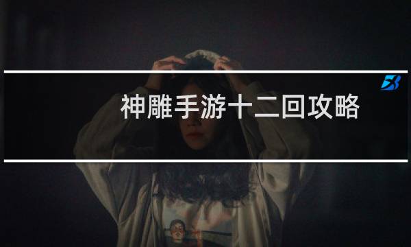 神雕手游十二回攻略