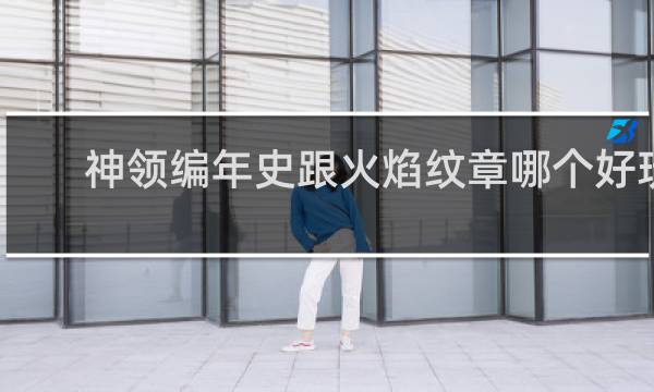 神领编年史跟火焰纹章哪个好玩