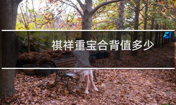 祺祥重宝合背值多少