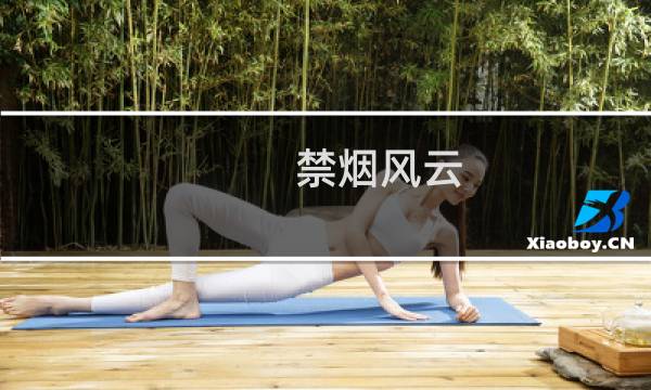 禁烟风云 攻略