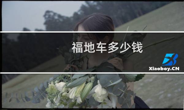 福地车多少钱