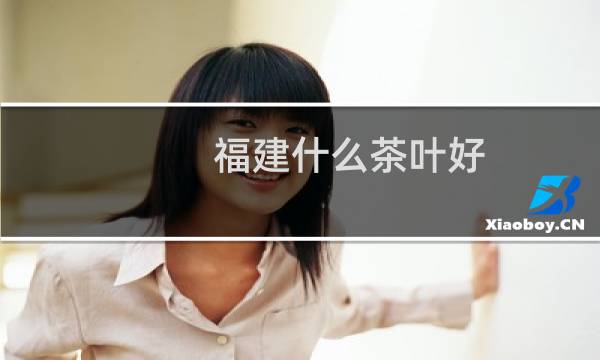 福建什么茶叶好