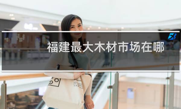 福建最大木材市场在哪