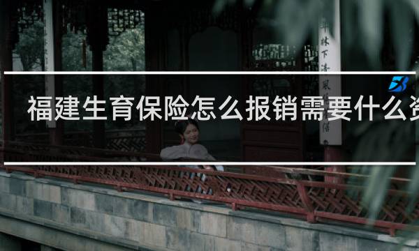 福建生育保险怎么报销需要什么资料