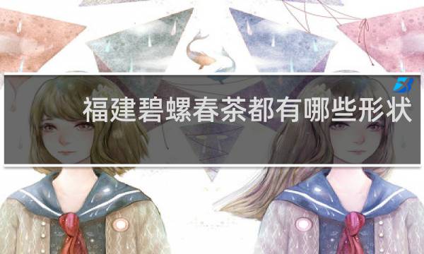 福建碧螺春茶都有哪些形状