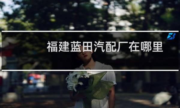 福建蓝田汽配厂在哪里