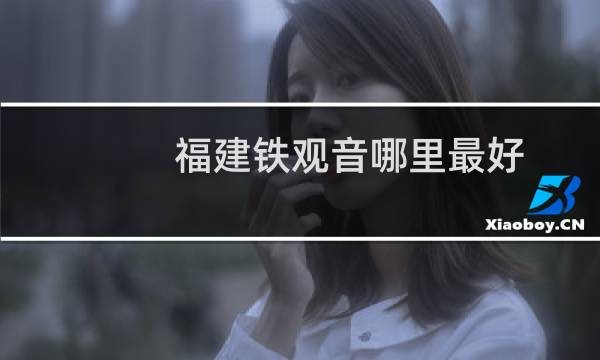 福建铁观音哪里最好