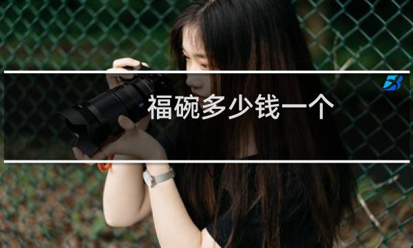 福碗多少钱一个