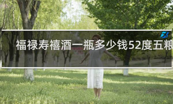 福禄寿禧酒一瓶多少钱52度五粮液