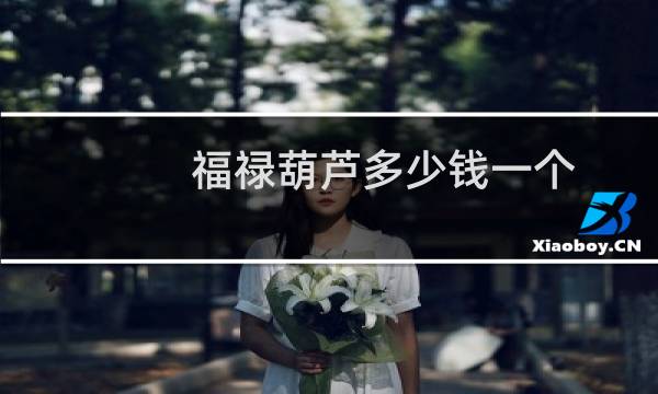 福禄葫芦多少钱一个