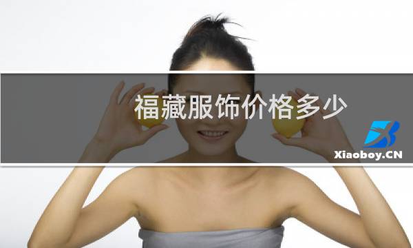 福藏服饰价格多少