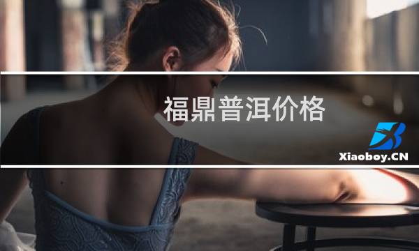 福鼎普洱价格