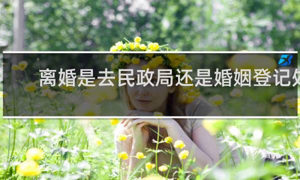 离婚是去民政局还是婚姻登记处