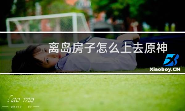 离岛房子怎么上去原神