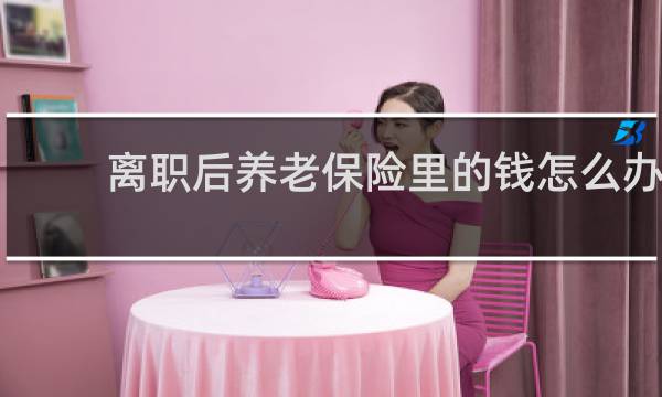 离职后养老保险里的钱怎么办