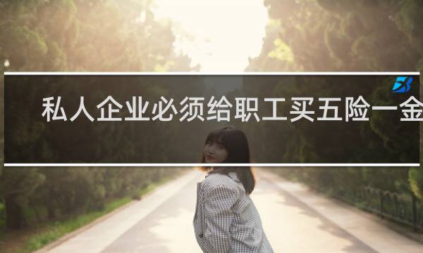 私人企业必须给职工买五险一金吗