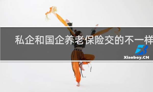 私企和国企养老保险交的不一样吗