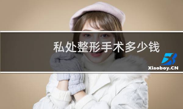 私处整形手术多少钱