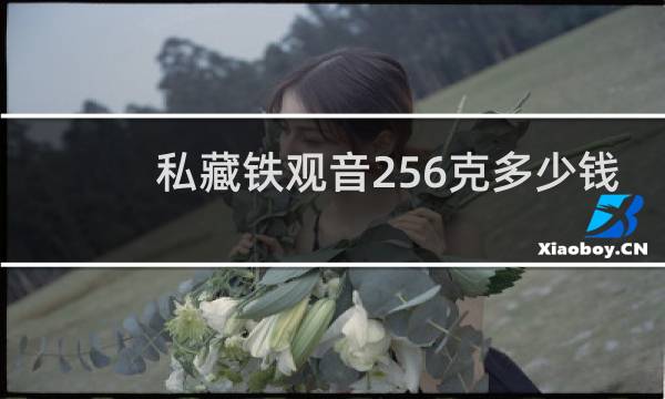 私藏铁观音256克多少钱
