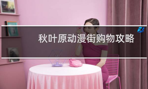 秋叶原动漫街购物攻略