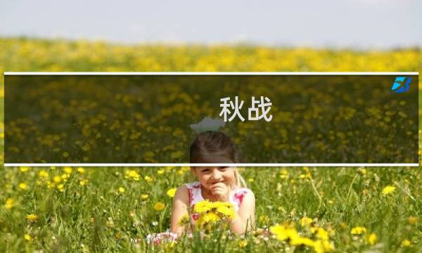 秋战 2 攻略