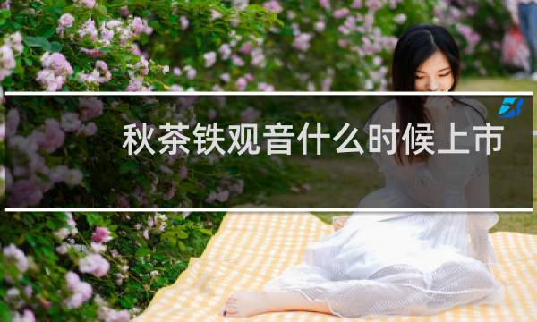秋茶铁观音什么时候上市