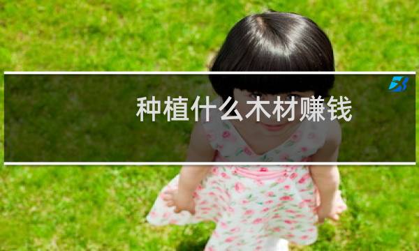 种植什么木材赚钱