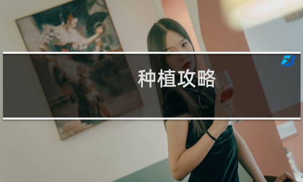 种植攻略