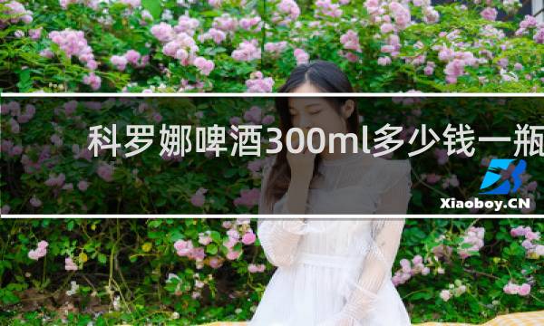 科罗娜啤酒300ml多少钱一瓶