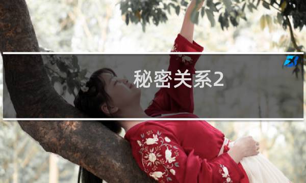秘密关系2 攻略