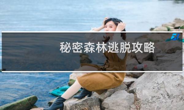 秘密森林逃脱攻略