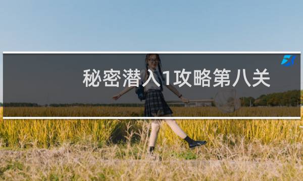 秘密潜入1攻略第八关