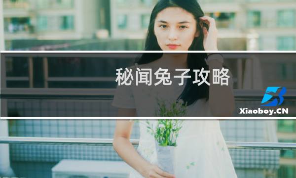 秘闻兔子攻略