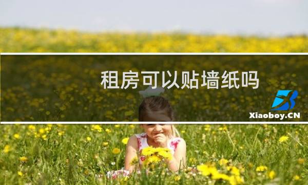 租房可以贴墙纸吗