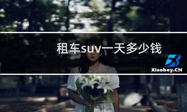 租车suv一天多少钱