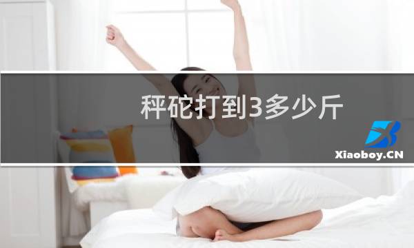 秤砣打到3多少斤