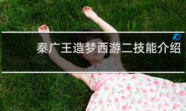 秦广王造梦西游二技能介绍