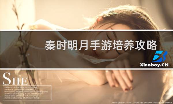 秦时明月手游培养攻略