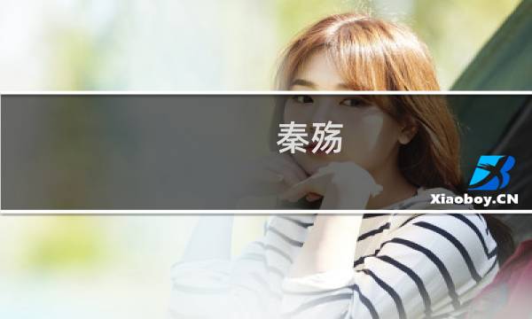 秦殇 多人 图文攻略