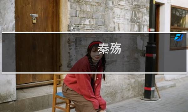 秦殇 攻略书