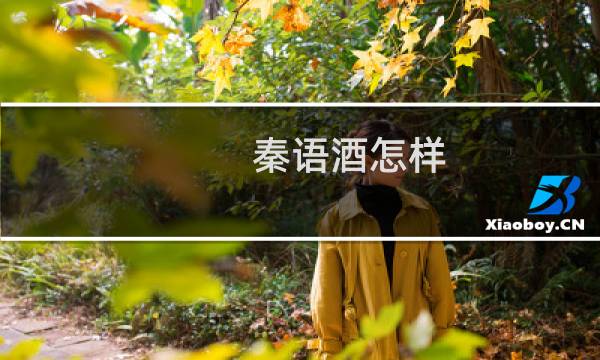 秦语酒怎样