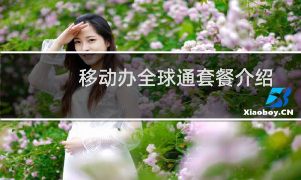 移动办全球通套餐介绍